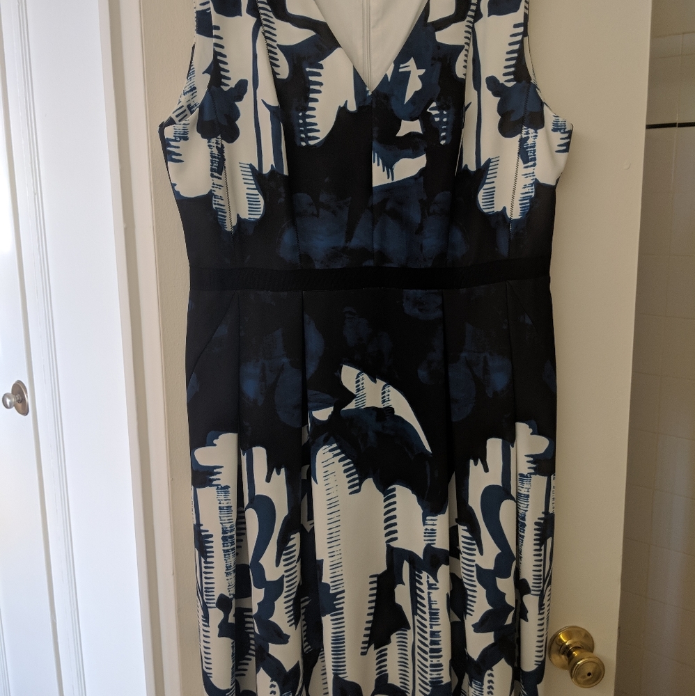 Adriana Pappelle dress